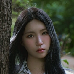 홍석주