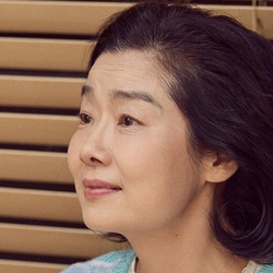 임선애