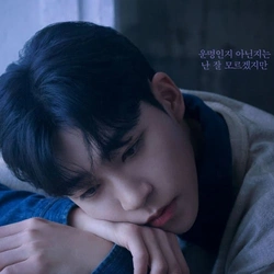 박좌헌