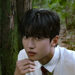 선율