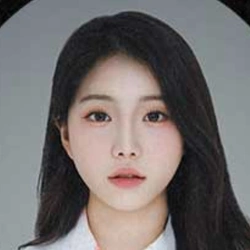 임시안