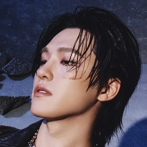 디노(DINO)