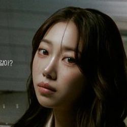 장수지